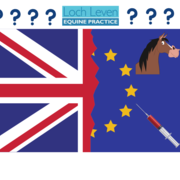 What Does a No-Deal Brexit Mean for Me and My Horse?!