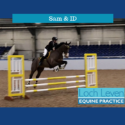 Scary Orange Jackets, and Terrifying Shetland Ponies but Sam is back out of Retirement!
