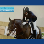 Liz & Splash's Blog - The Ups and Downs Continue!