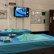 Lower Limb Dissection Workshop a Huge Success