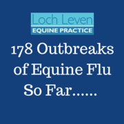 Dr Richard Newton from the Animal Health Trust Shares their Recent Advice to Equine Practices