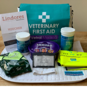 A Christmas Giveaway with a Difference