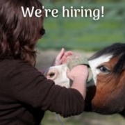 We are Hiring