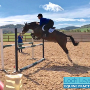 Life's Lessons.....the Ups & Downs of Owning a Horse & Why You Should Never Judge a Book by its Cover.