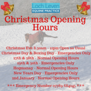 Christmas Opening Hours