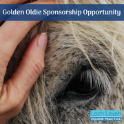Golden Oldie Sponsorship Opportunity