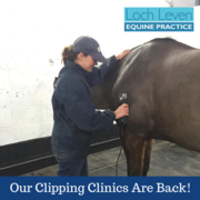Our Popular Clipping Clinics Are Back!