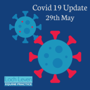 COVID 19 UPDATE - 29th May 2020