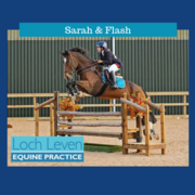 Introducing Our First Sponsored Rider - Sarah Cunningham and Flash