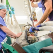 Surgical Checklists - Improving Patient Safety