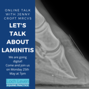Virtual Client Talk A Huge Success