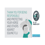 Are You a Responsible Horse Owner?