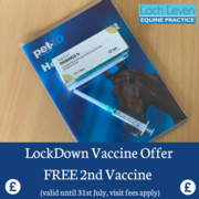 Lockdown Vaccine Amnesty