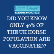 Only 40% of All Horses in the UK are Vaccinated