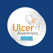 October Marks the Start of Equine Gastric Ulcer Awareness Month for the Team at LLEP