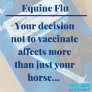Equine Flu Cases on the Rise Again