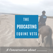 LLEP Are The First Equine Vets In The UK To Launch Podcasts