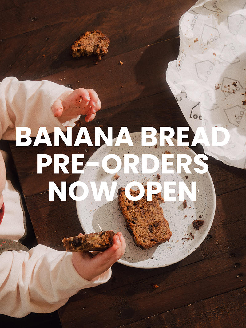 Chocolate Chip Banana Bread