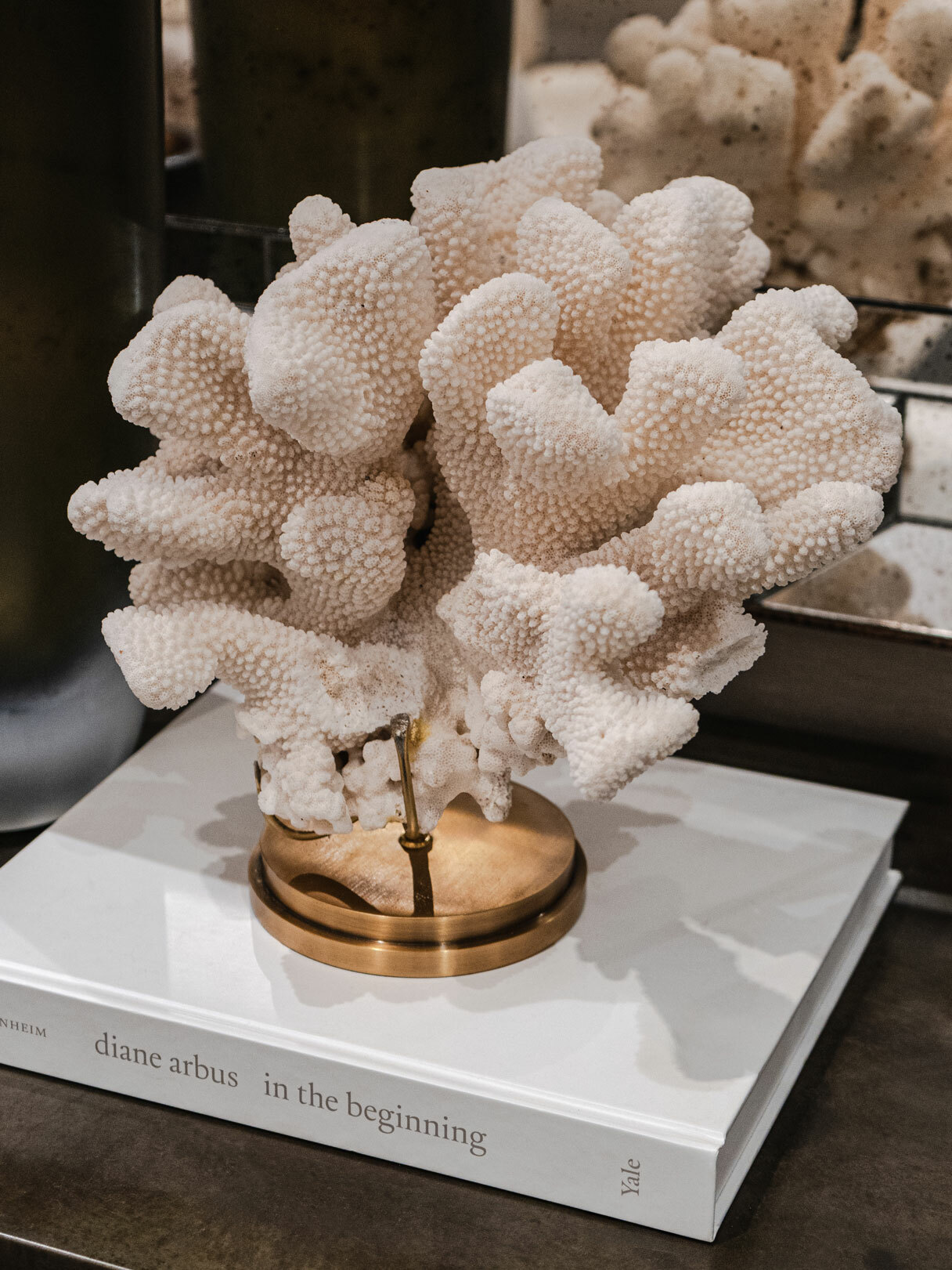 FOS402 STD0006 Coral Pocillopora Eydouxi