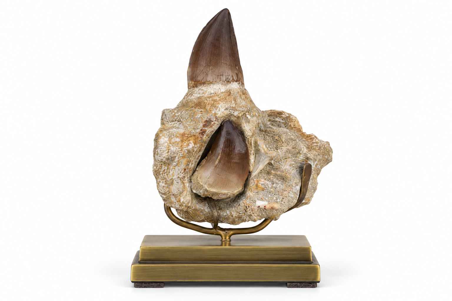 FOS Horn