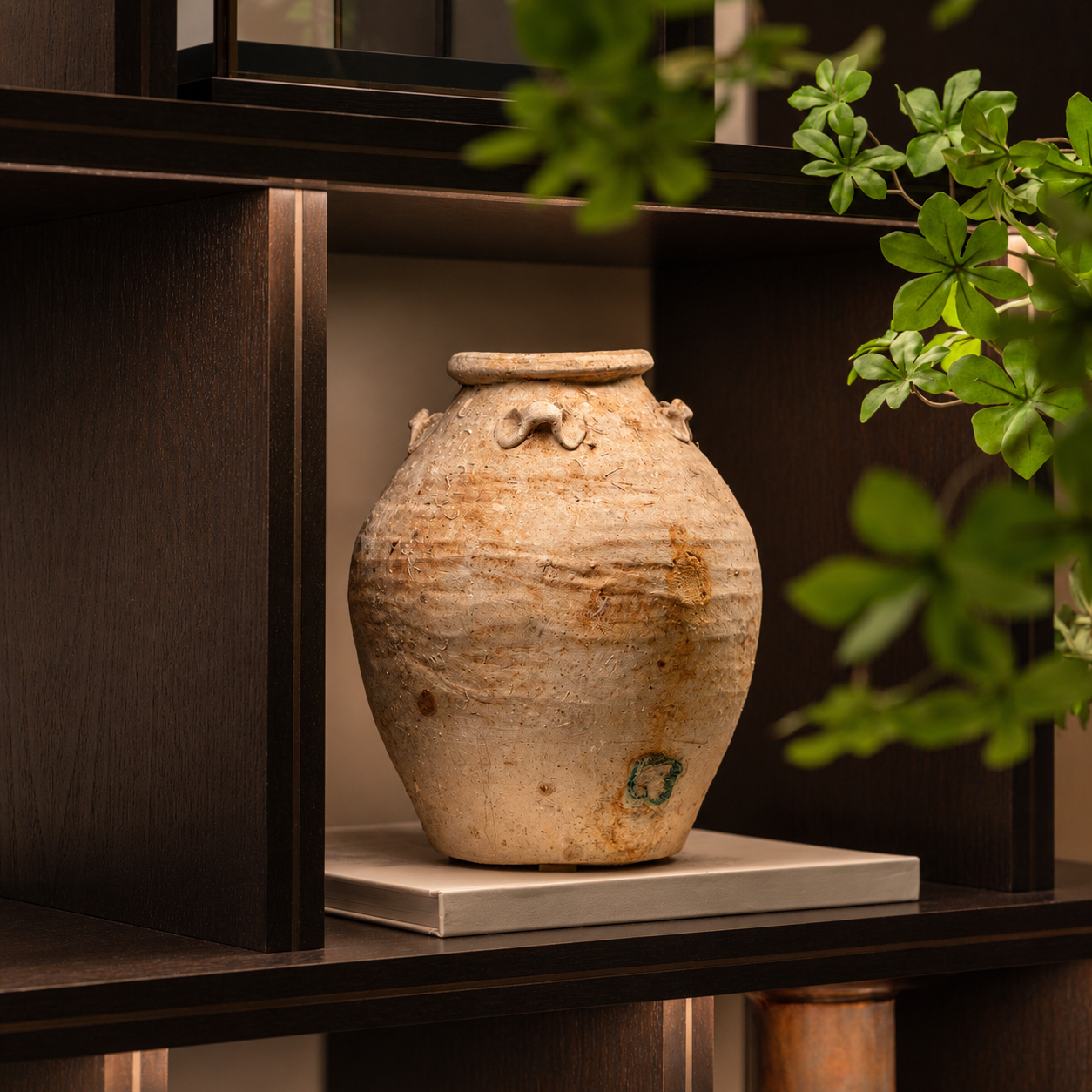POT099 STD007 Animist Jar Lifestyle