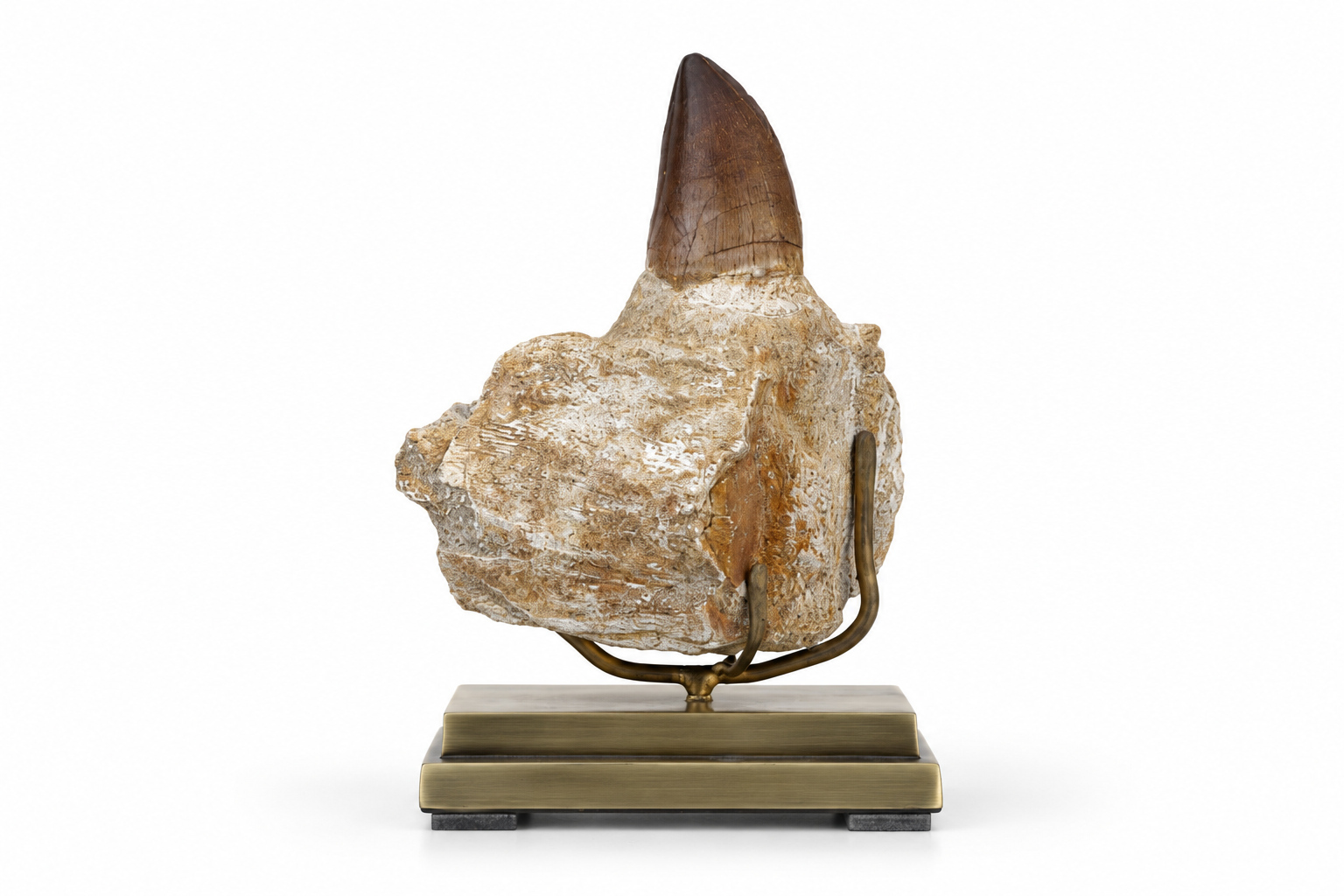 FOS Horn 2