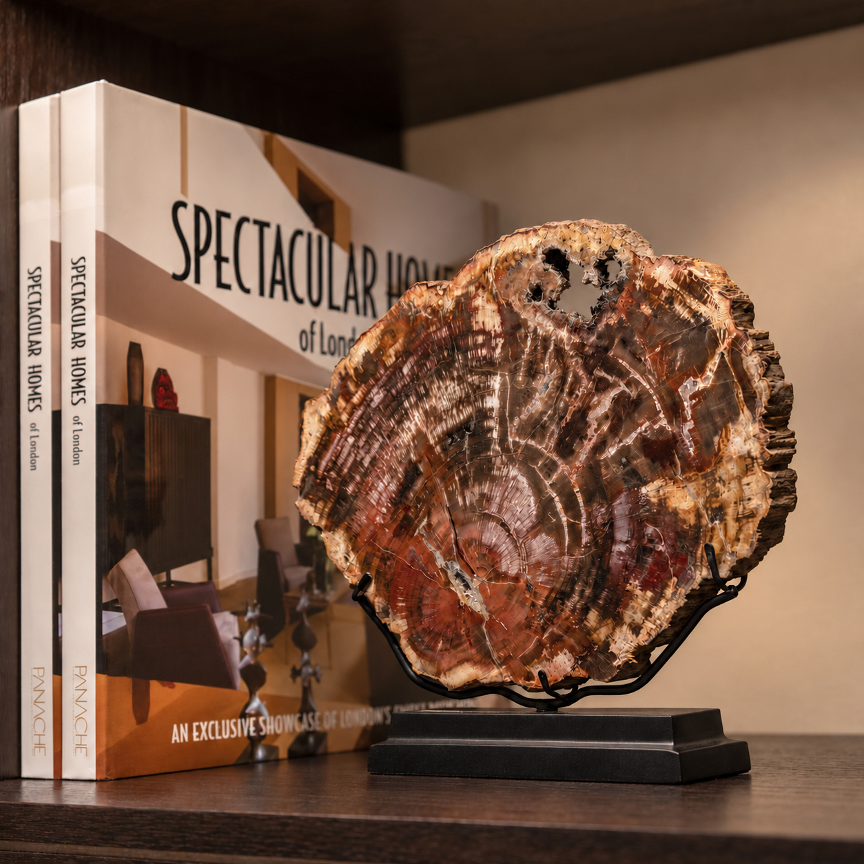 FOS403 STD0002 Petrified Slice of Fossil Wo Lifestyle