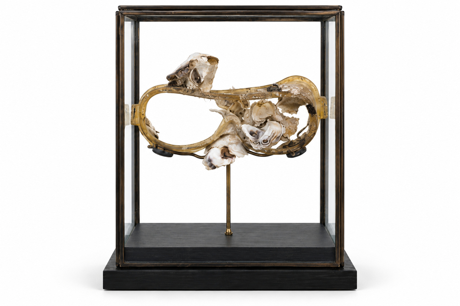 SCU104 STD001 Junk of the Sea in Glass Div Front