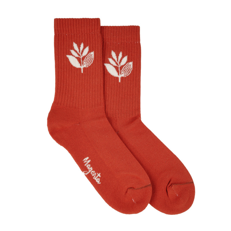 PLANT SOCKS - AUBURN
