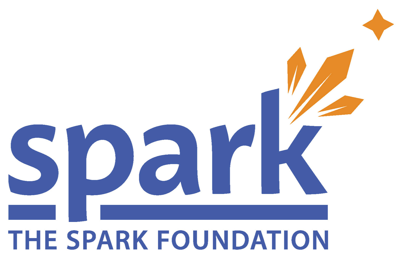 The Spark Foundation 