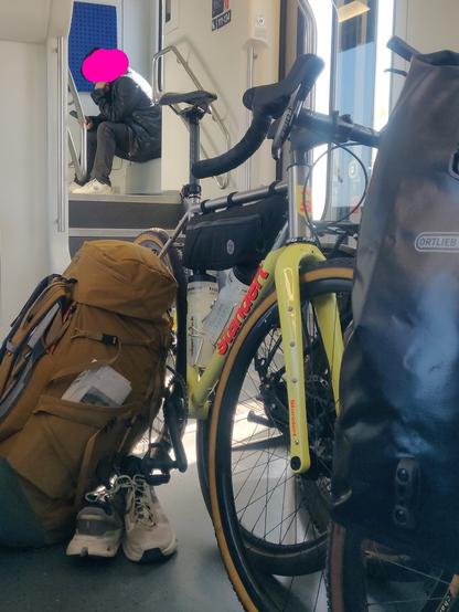 Da reisen schöne Fahrräder mit ihren Menschen!(schönes Standert Rad im Fahrradabteil)