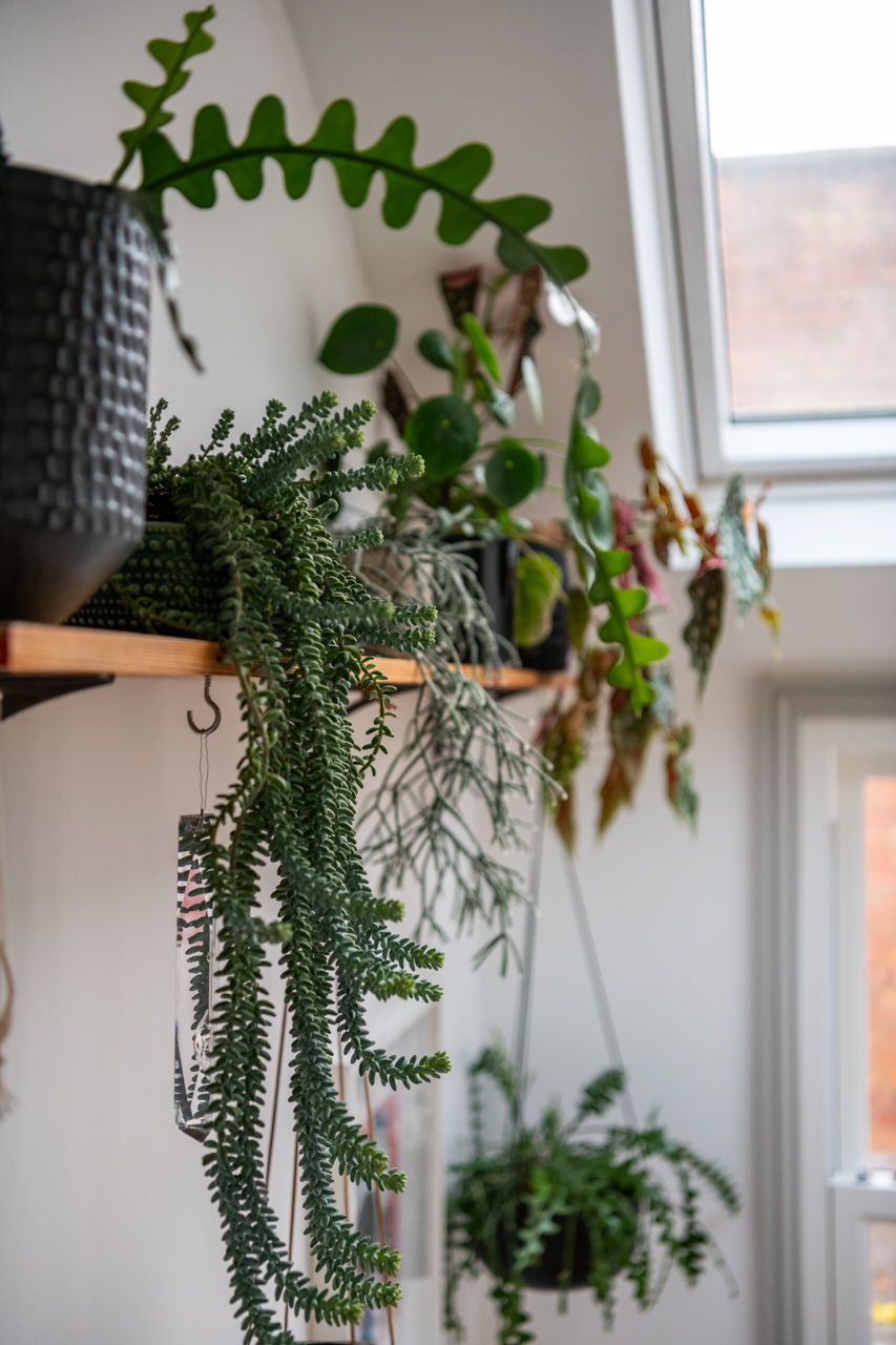 Interior design home in Birmingham