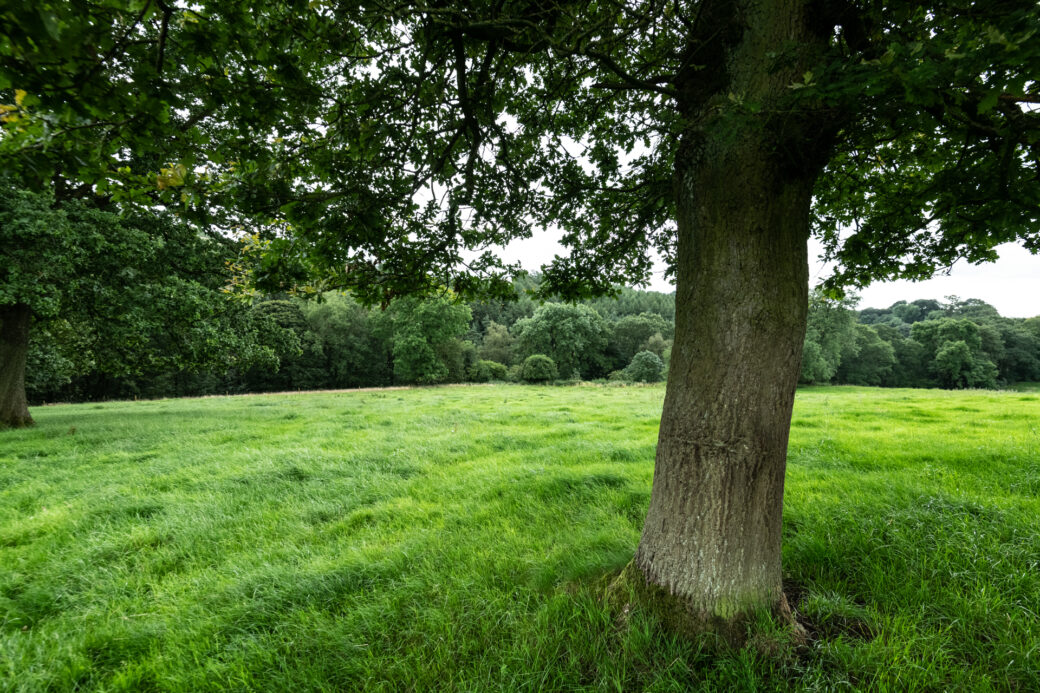 Residential in Cheshire