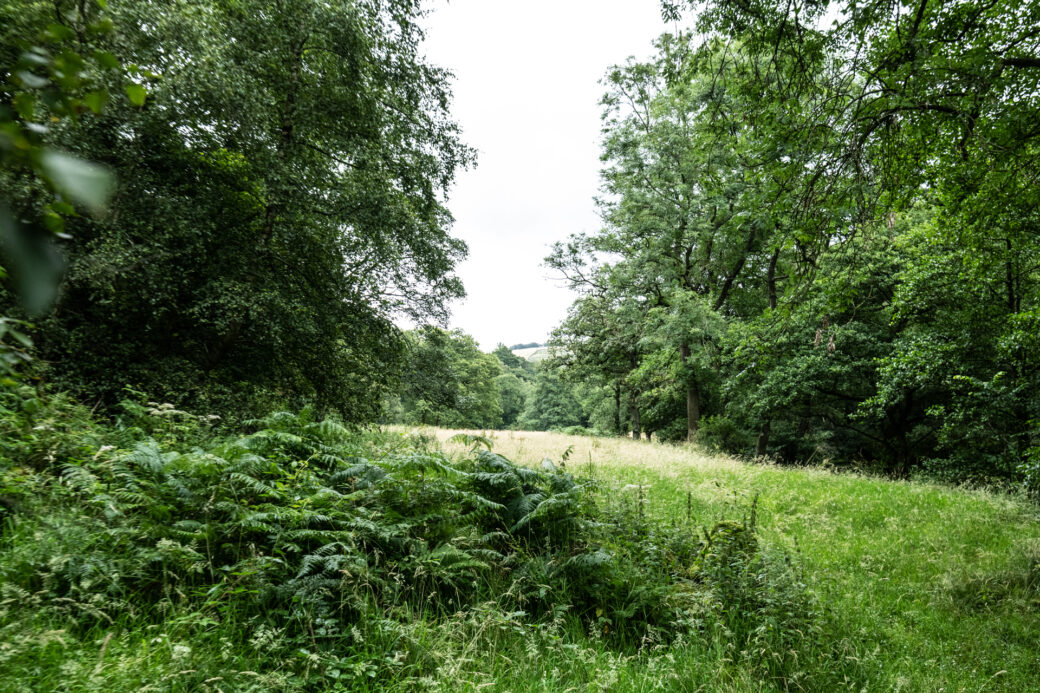 Residential in Cheshire