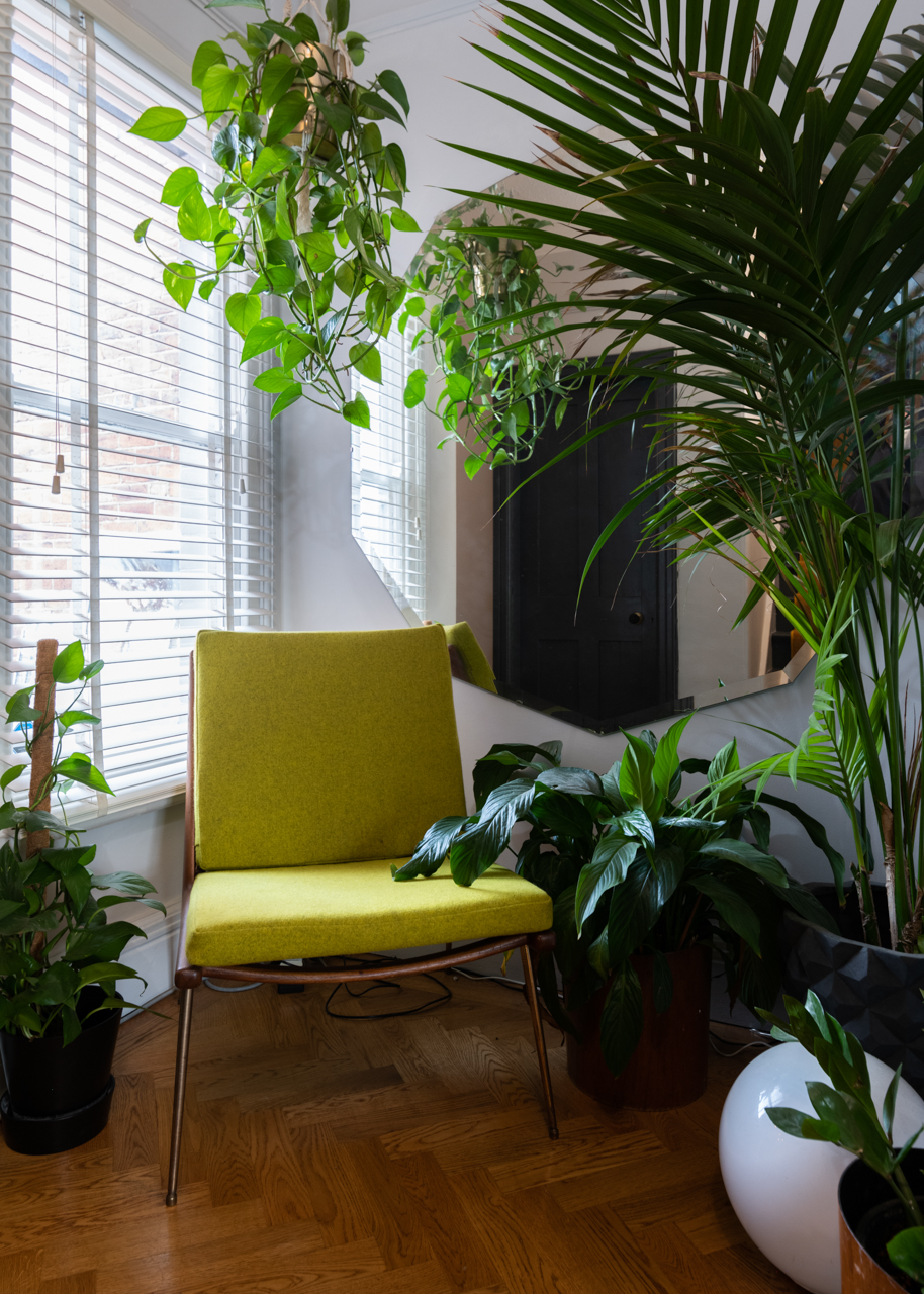 Modest family home in Leeds