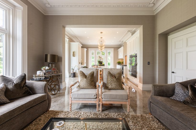 Living room and kitchen with luxe interiors