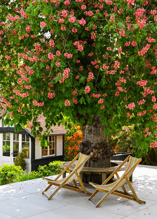 Large Residential Garden in West Midlands