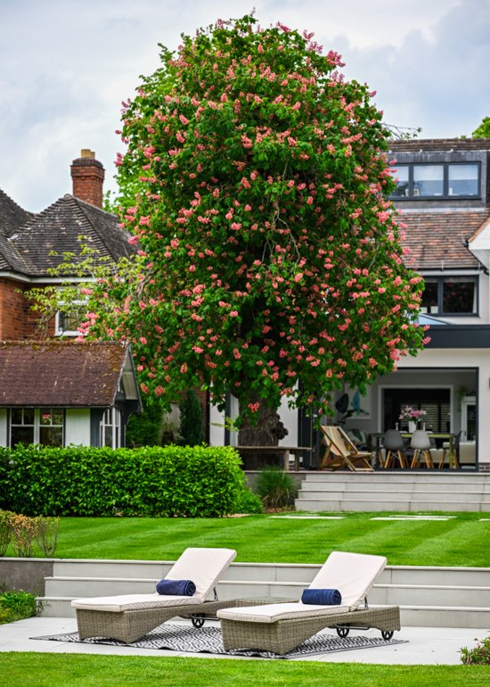 Large Residential Garden in West Midlands