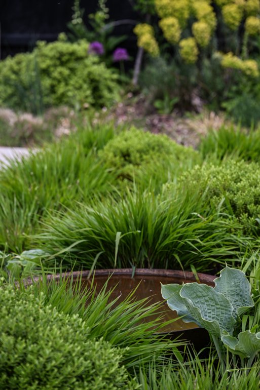 Large Residential Garden in West Midlands