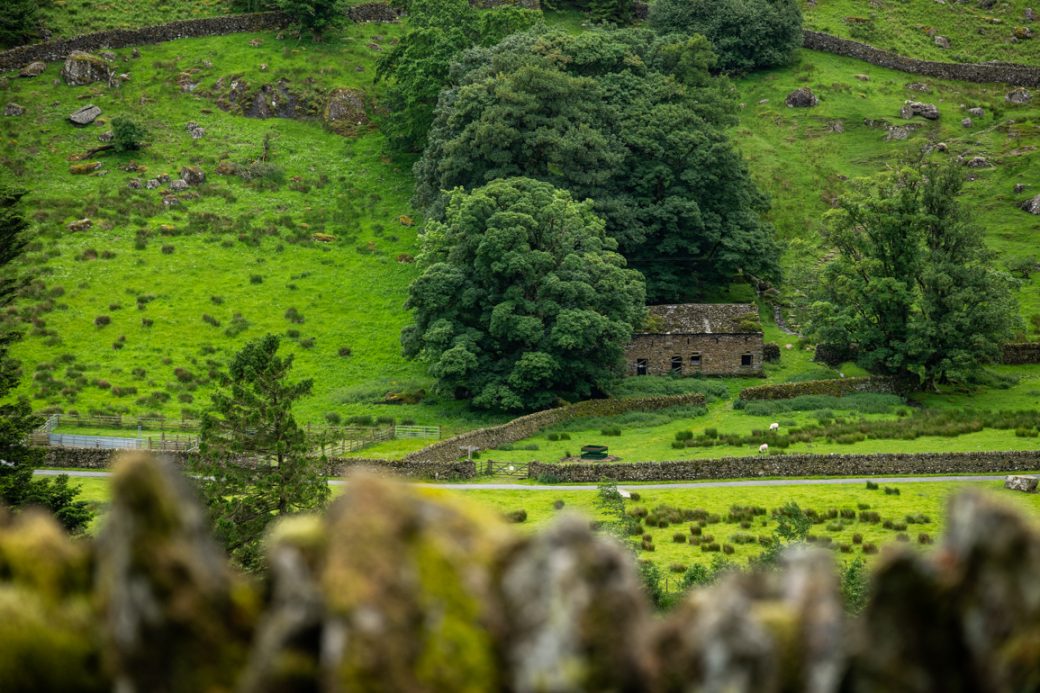 Private Lake District Estate with Lake Shore Access