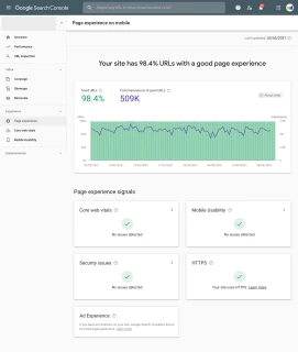 Search Experience Report