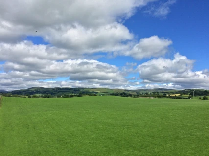 Meadowbank looking north