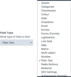 Field type options