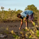 Ecologi Eden Reforestation Tree Planting Projects