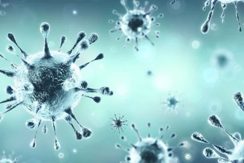 Coronavirus header
