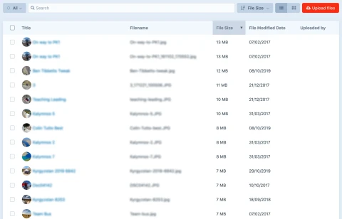 Before Image Resizer
