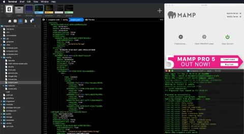 Local Development Environment
