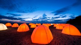 Peace Camp