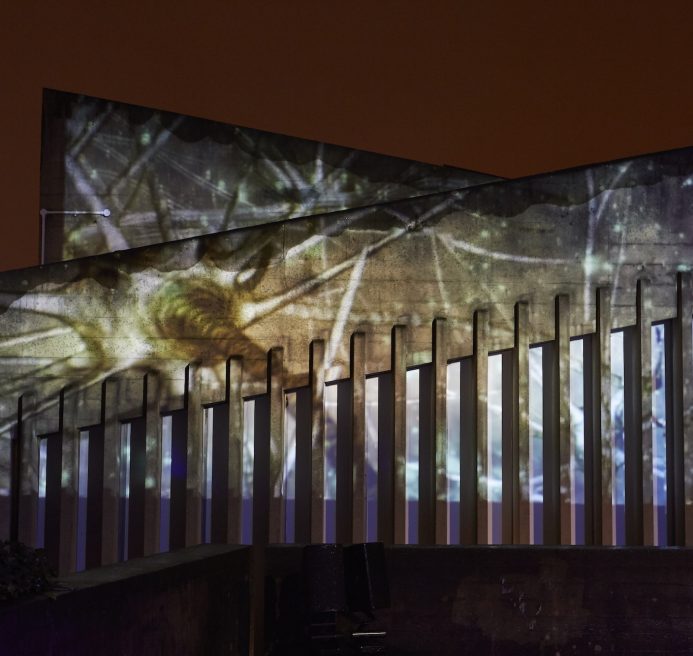 A futuristic light projection displays abstract patterns and colors on a series of angled walls and vertical slats against a dusky orange sky, evoking mystery.