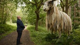 A giant sheep sculpture with a spotted face and shaggy coat made from strips of pale, weathered fabric stands on a woodland path at Deffer Wood, surrounded by trees and ferns. A man in a navy jacket stands on the path looking up at the sculpture, smiling.